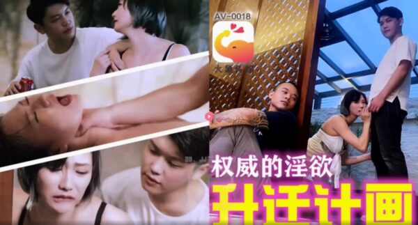 CUS-2227 Elephant Media Authoritative Lust Promotion Plan madou club